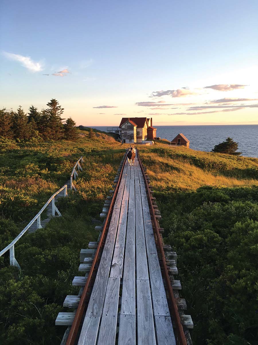 Capture Monhegan Island The Maine Mag