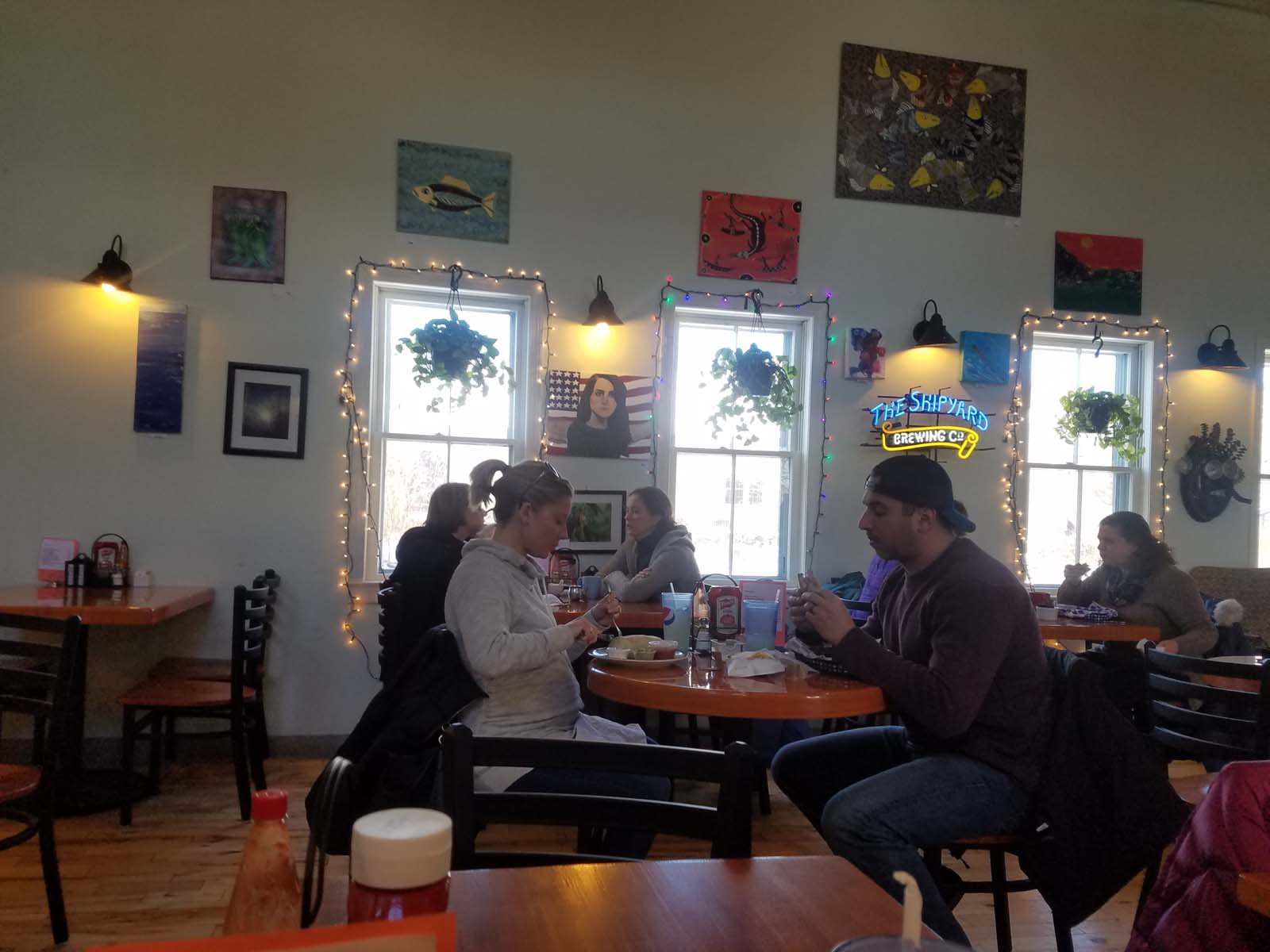 Blueberries The Maine Mag