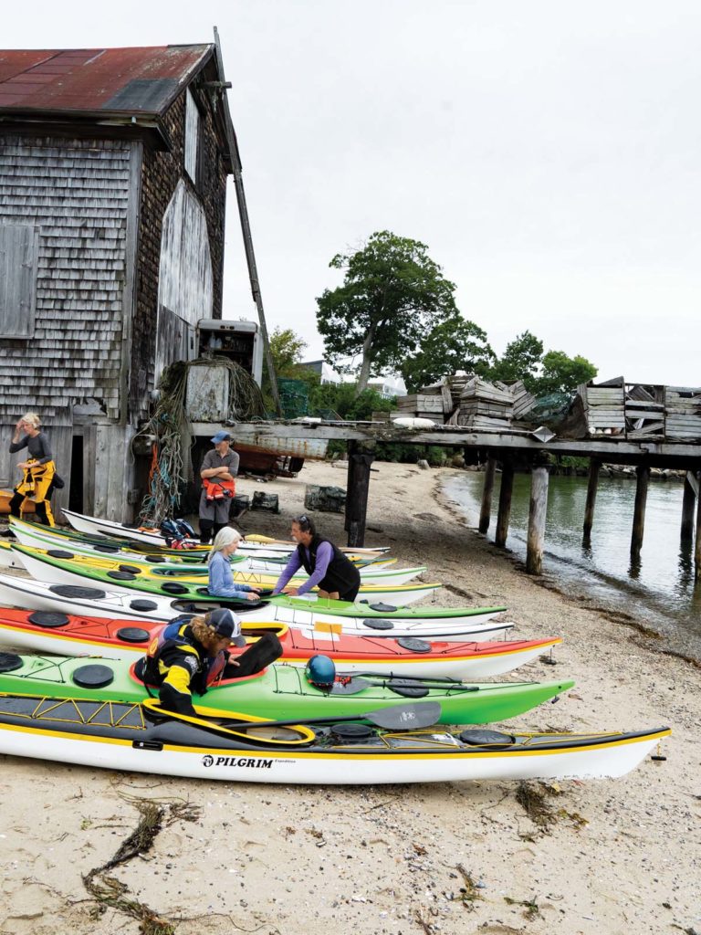 zonnebloem de eerste inkt Rock Garden Play in Casco Bay - The Maine Mag