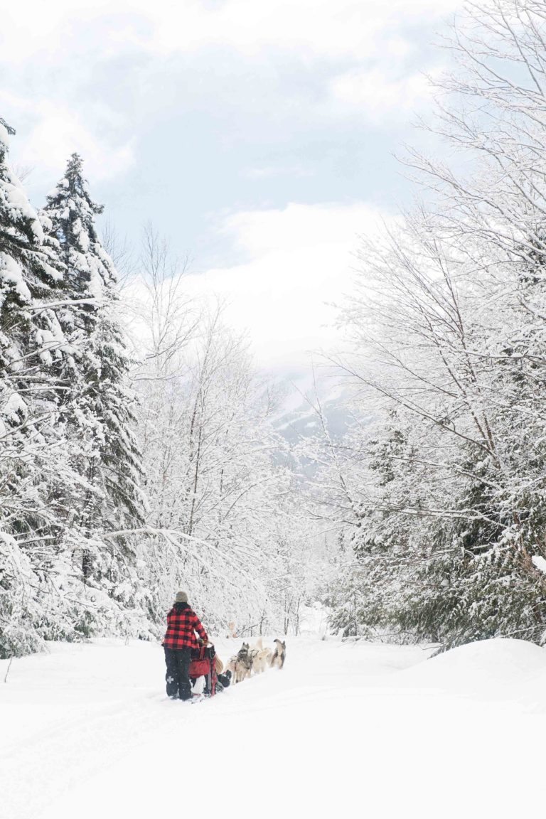 Mushing Through the Snow The Maine Mag