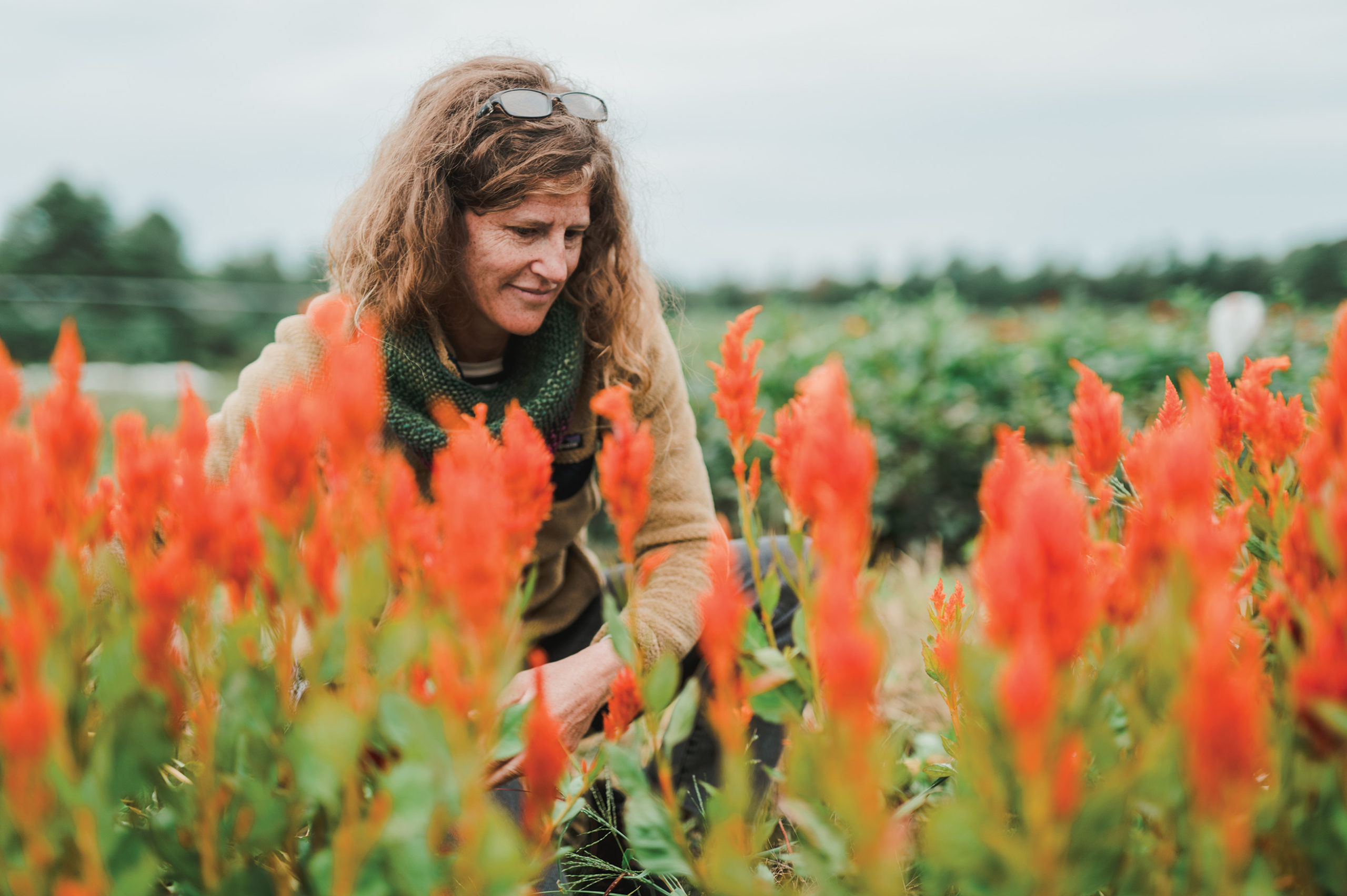 Maine's Flower Farmers Cultivate Sustainable Beauty and Social Justice - The  Maine Mag