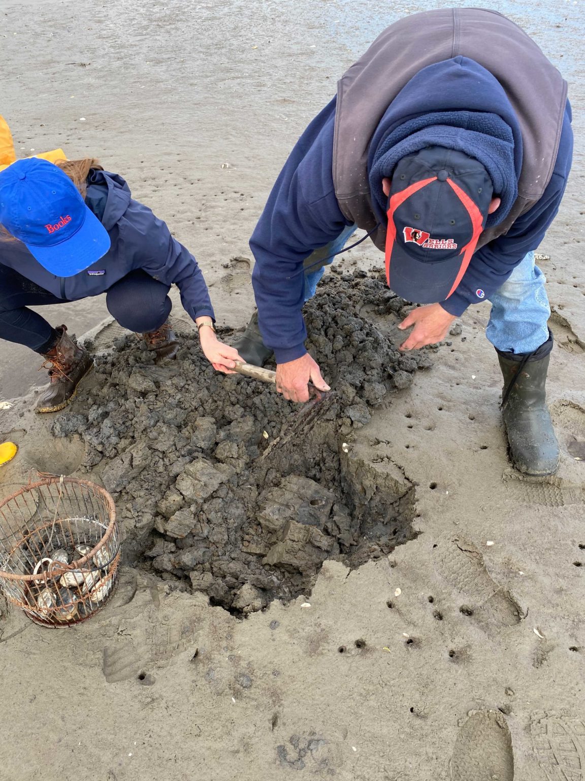 How to Go Clamming The Maine Mag