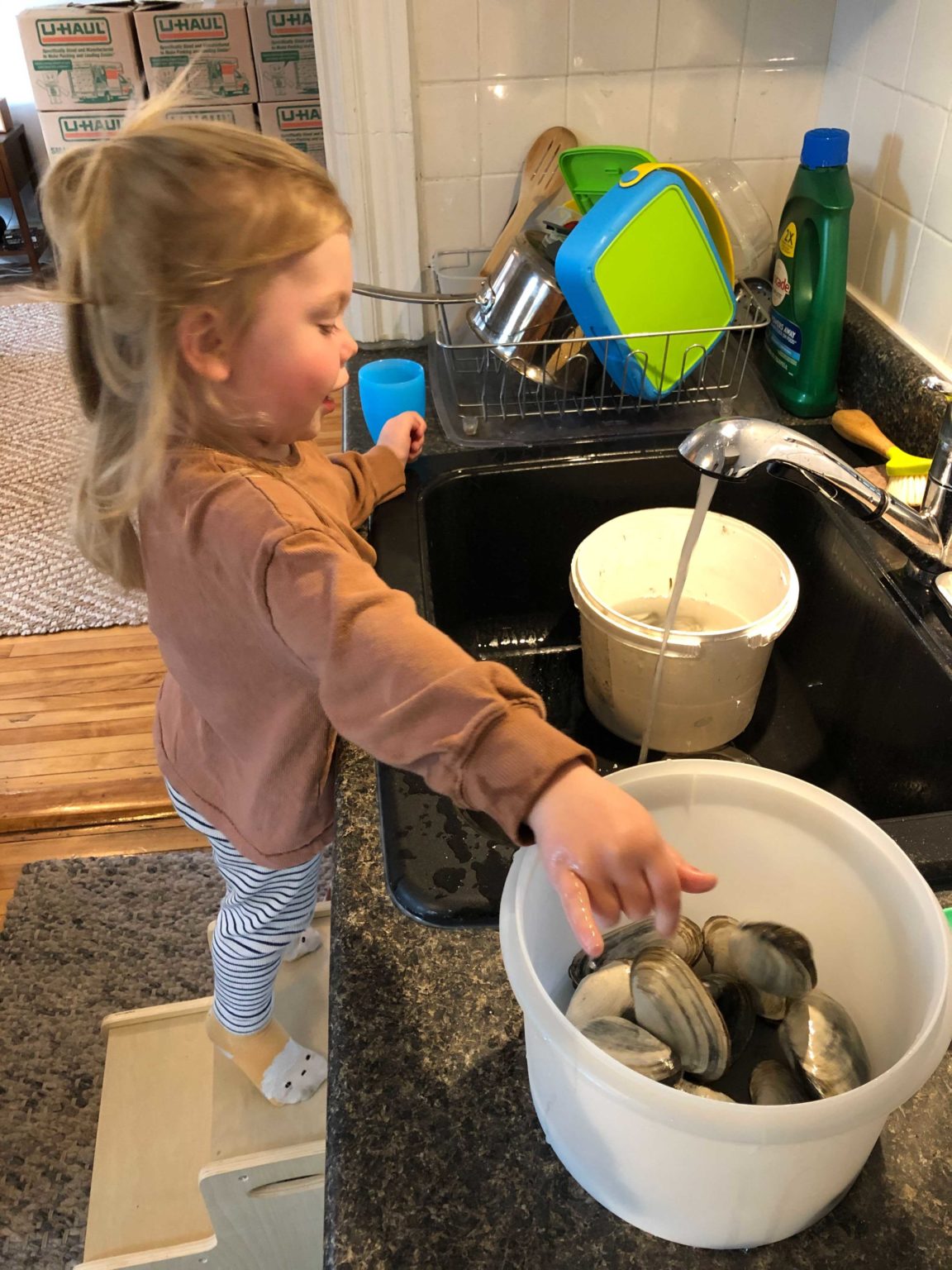 How to Go Clamming The Maine Mag