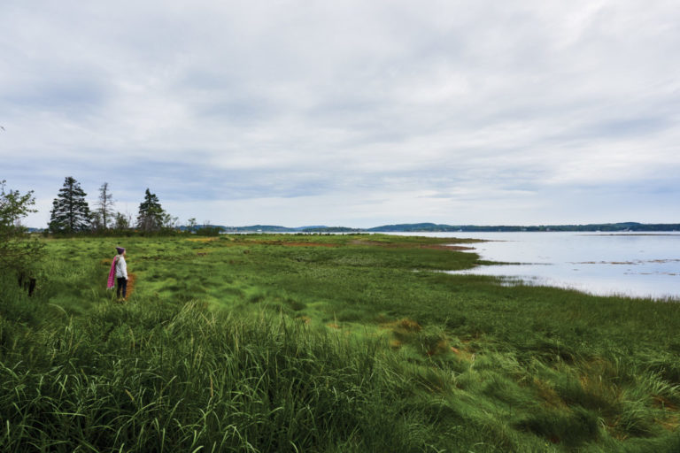 Downeast’s Newest Waterfront Gem Opens to the Public The Maine Mag