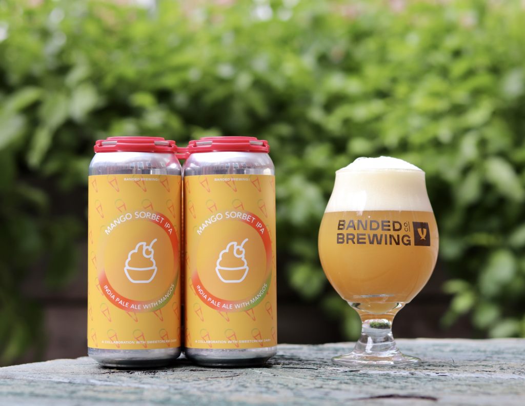 Five Maine Beers To Drink This Summer - The Maine Mag