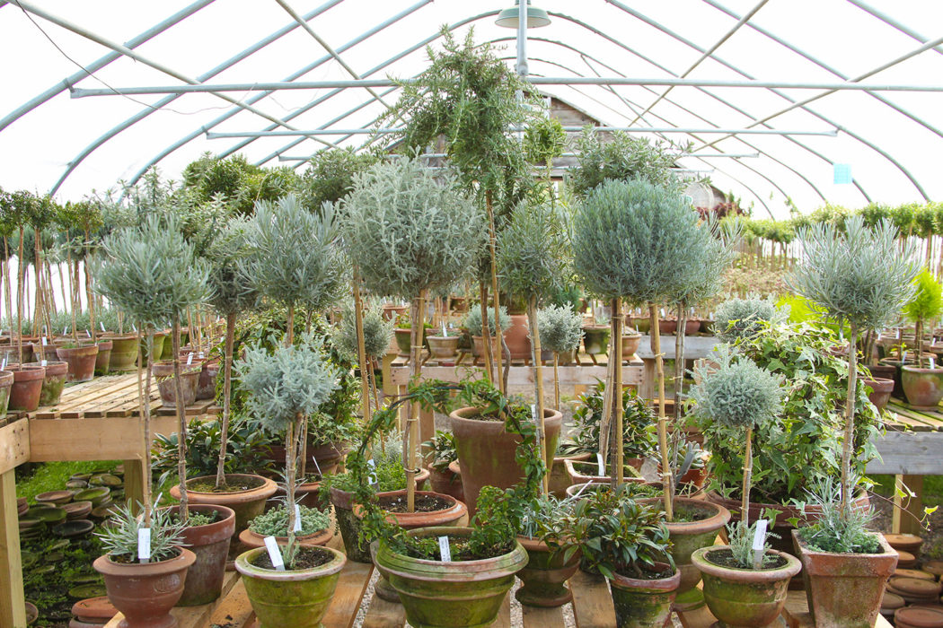 Kennebunkport + Kennebunk in 48 Hours The Maine Mag