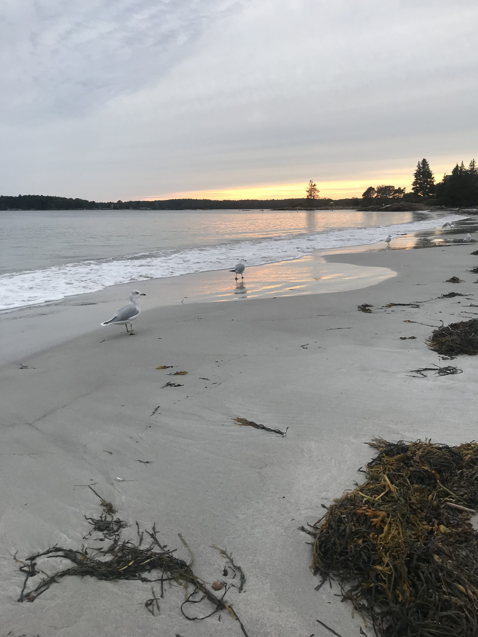 Insider Tips for Visiting the Pemaquid Peninsula The Maine Mag