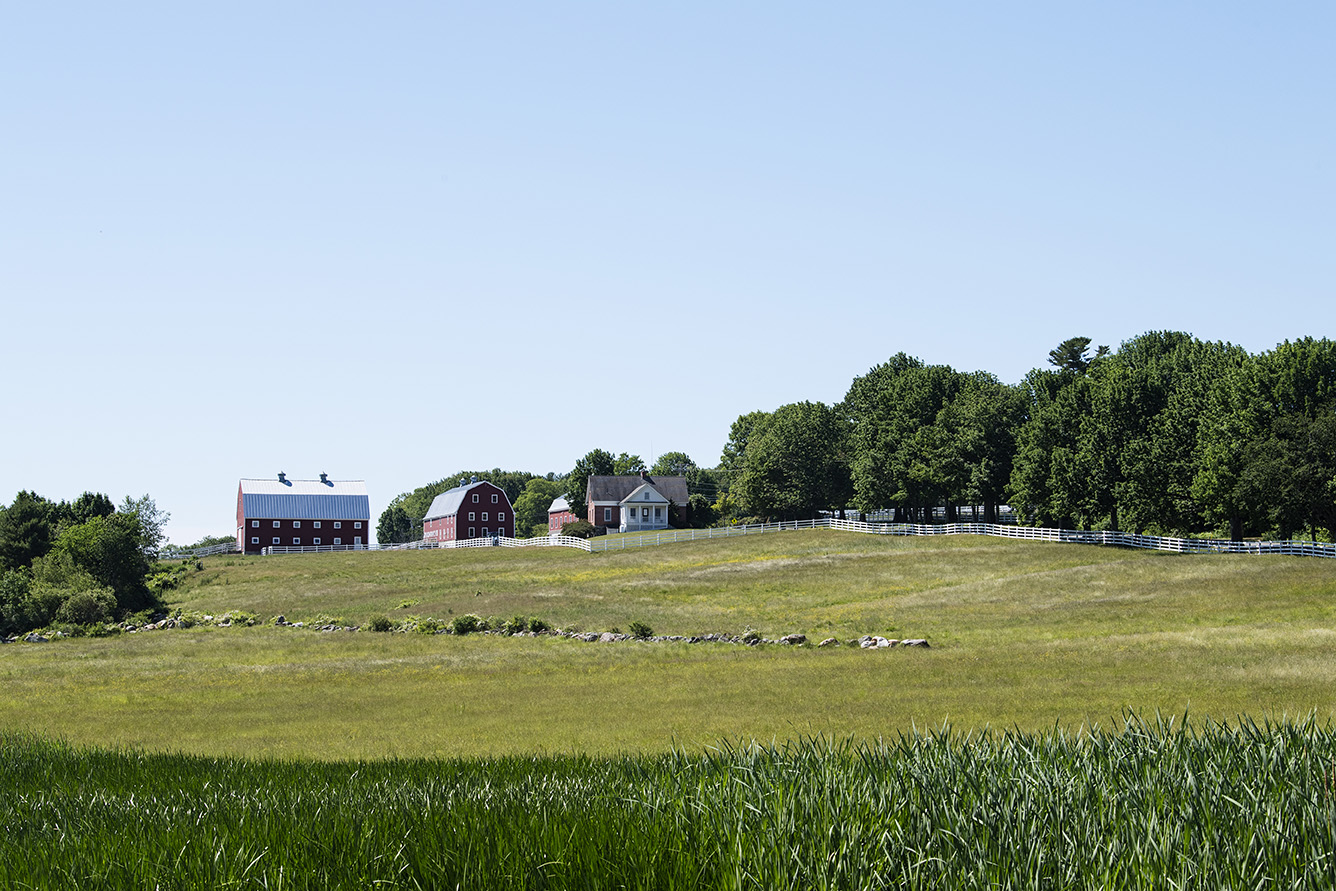 How a Charitable Foundation Transformed Pineland Farms, and Maine The
