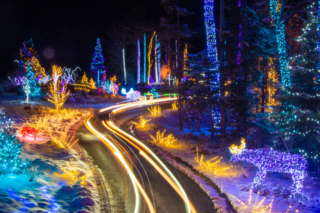 Where to See Holiday Light Displays Around Maine The Maine Mag