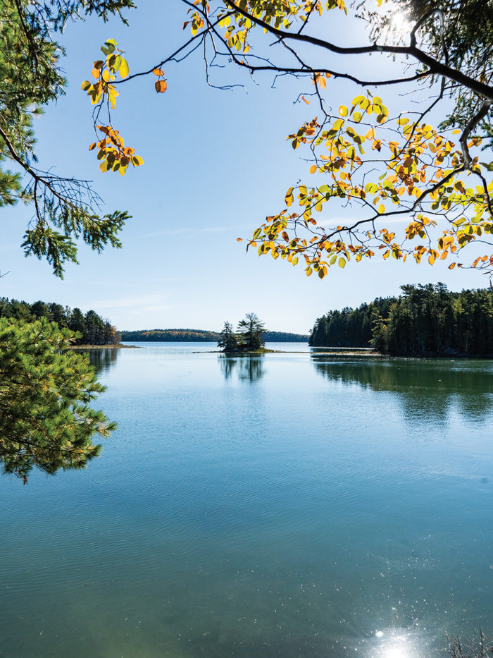 The 8 Best Campgrounds in Maine The Maine Mag